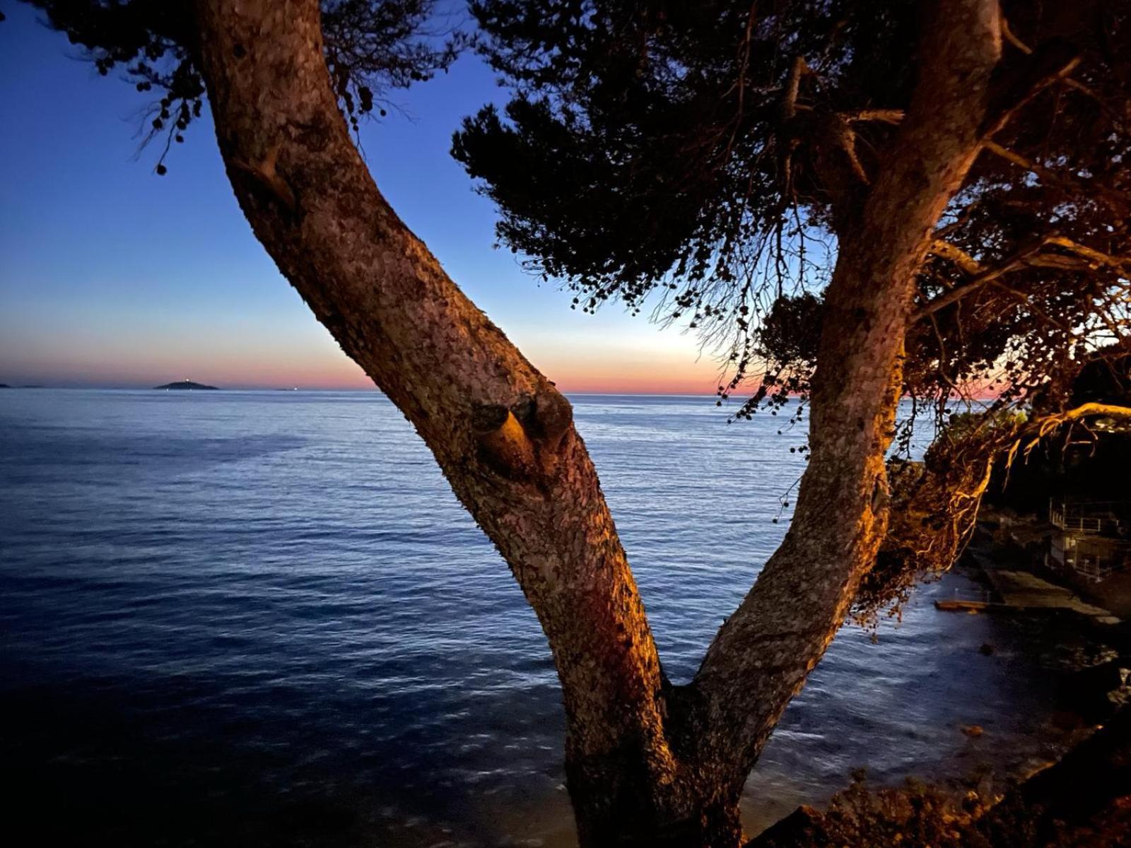 Vacances Bord De Mer - Appartement Sanary Sur Mer 외부 사진